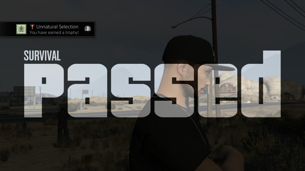 Grand Theft Auto V_20150417210707